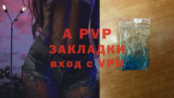 apvp Богданович